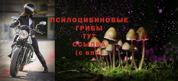 mdma Нязепетровск