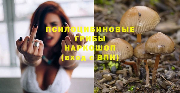 таблы Няндома