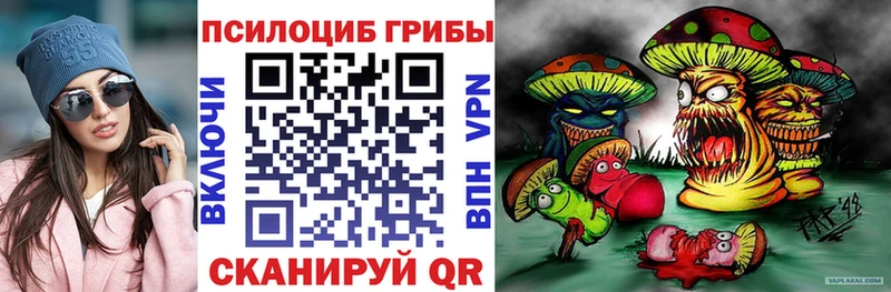 omg   купить наркотик  Пучеж  Галлюциногенные грибы ЛСД 