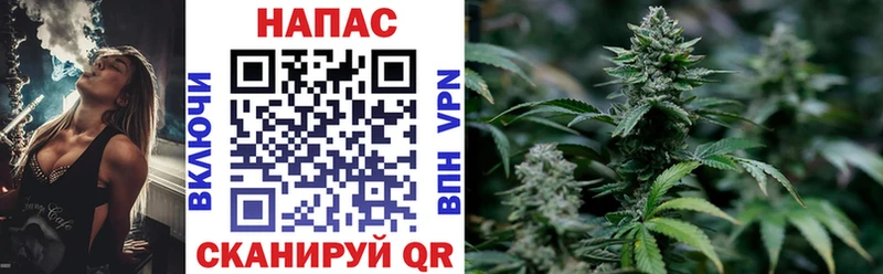 Бошки марихуана Bruce Banner  Пучеж 